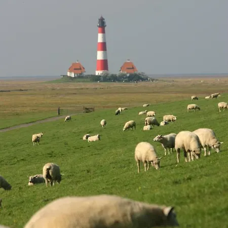 Strandloper